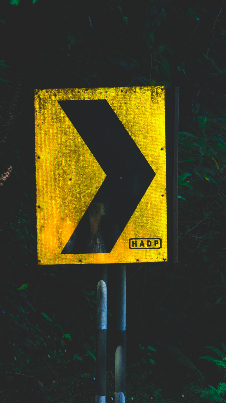 Señal de Prohibido Fumar en Blanco y Negro. Wallpaper in 750x1334 Resolution