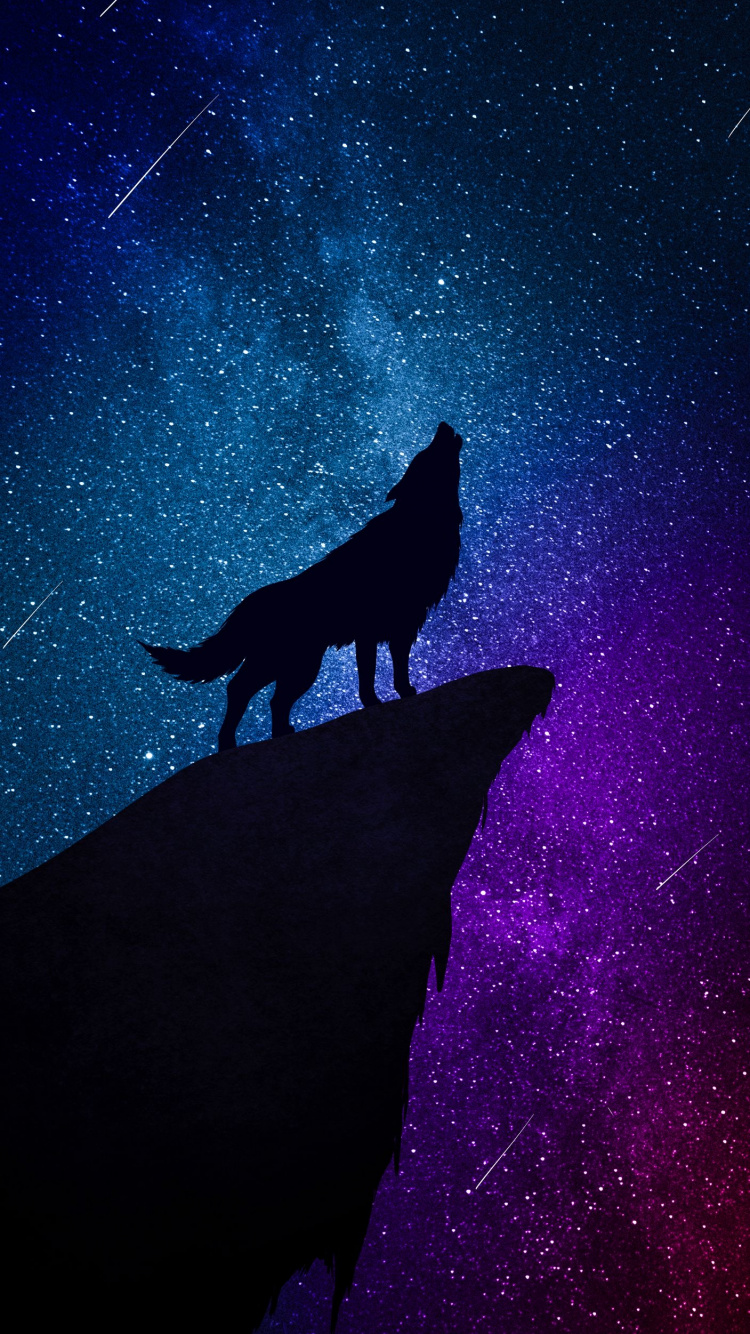 Star, Astronomical Object, Astronomy, Night, Constellation. Wallpaper in 750x1334 Resolution