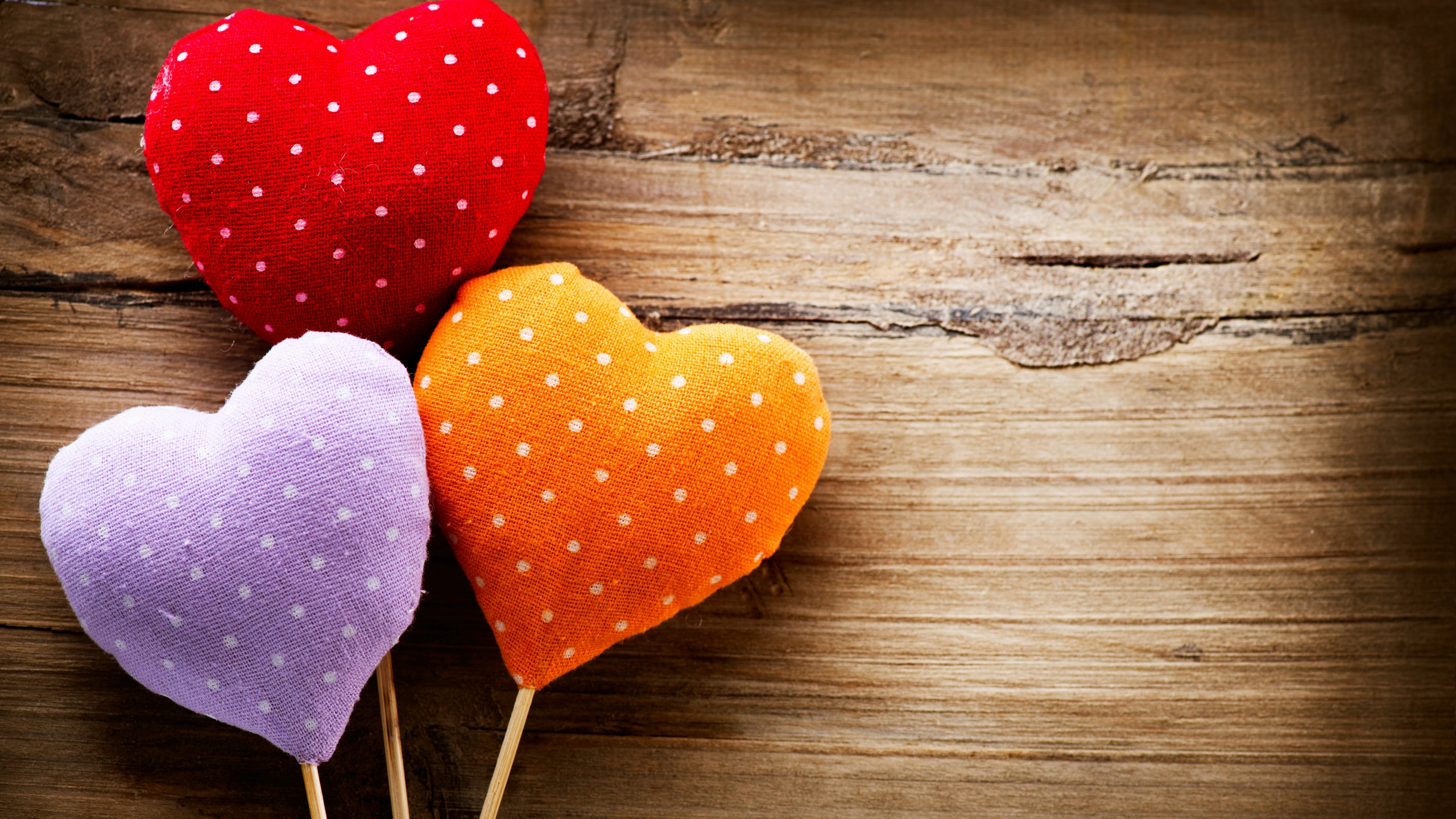 le Jour de Valentines, Cœur, Amour. Wallpaper in 2560x1440 Resolution