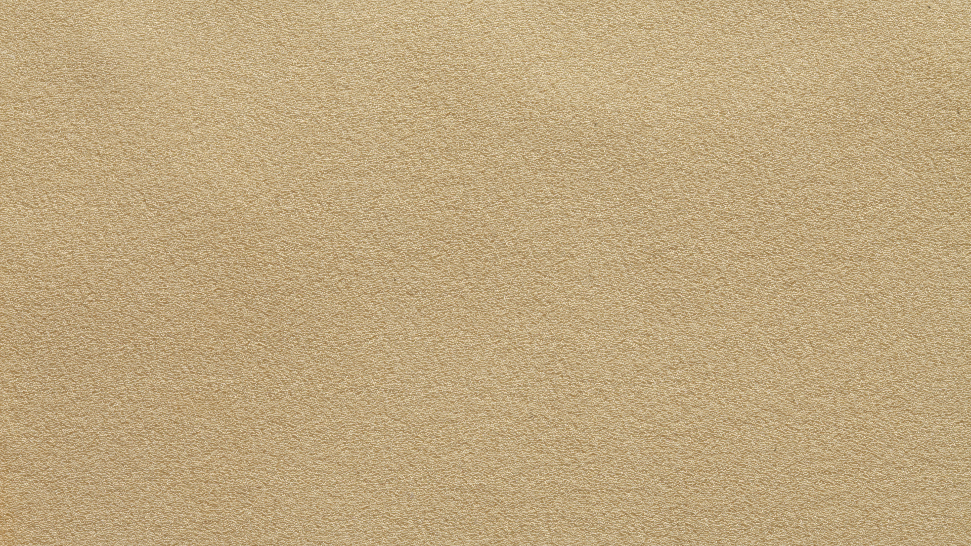 Person Mit Schwarzem Lederschuh. Wallpaper in 1920x1080 Resolution