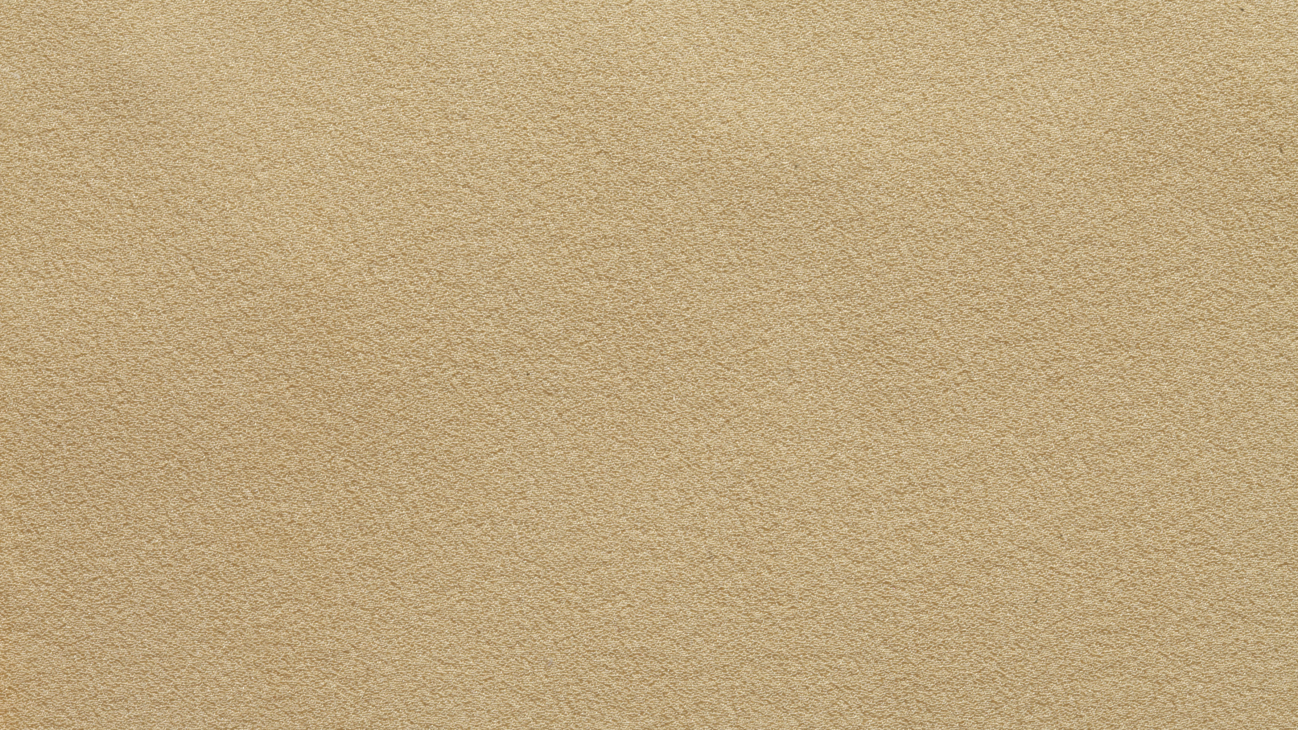 Person Mit Schwarzem Lederschuh. Wallpaper in 2560x1440 Resolution