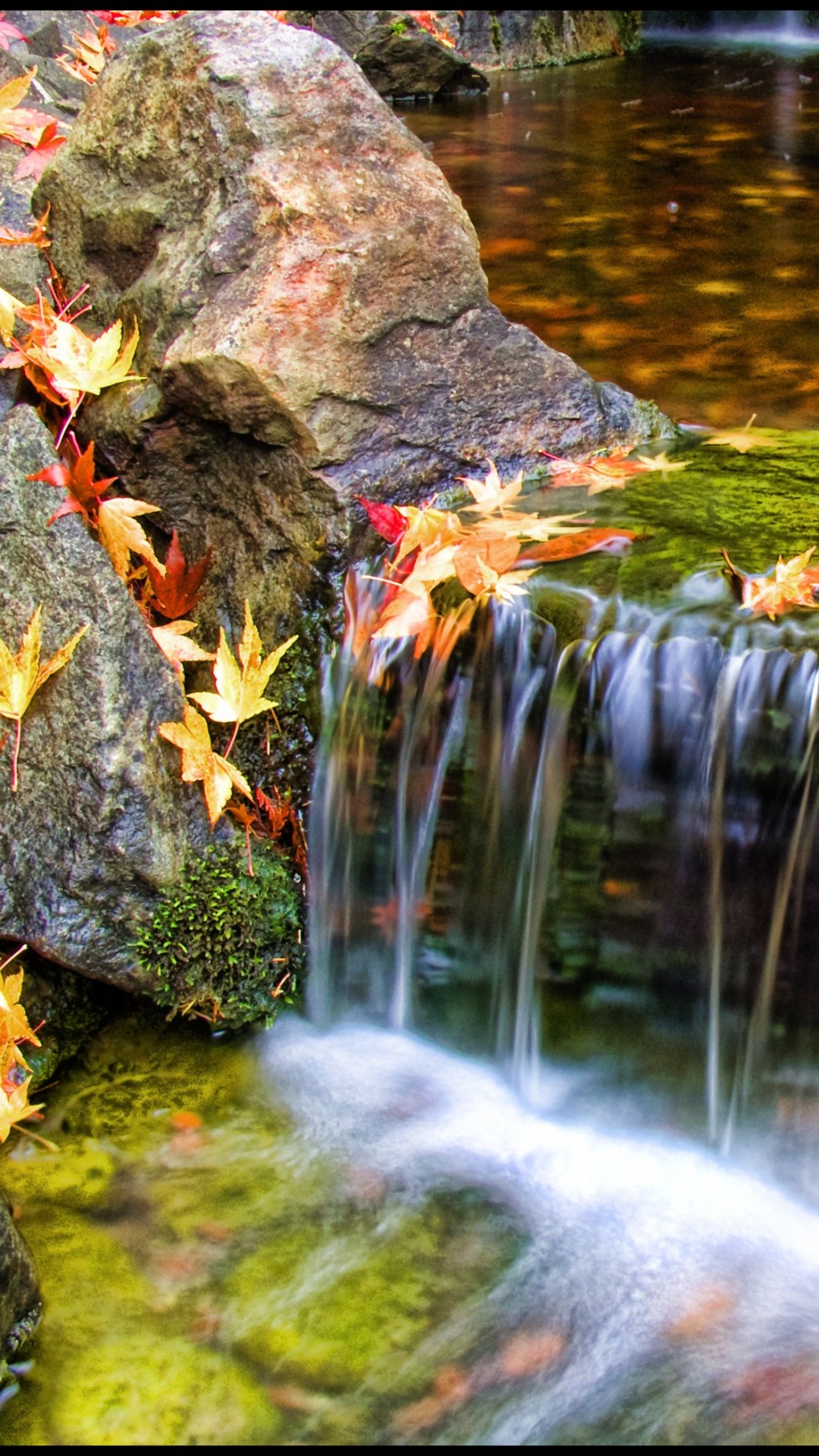 Water Falls With Orange Leaves on Ground. Wallpaper in 1080x1920 Resolution