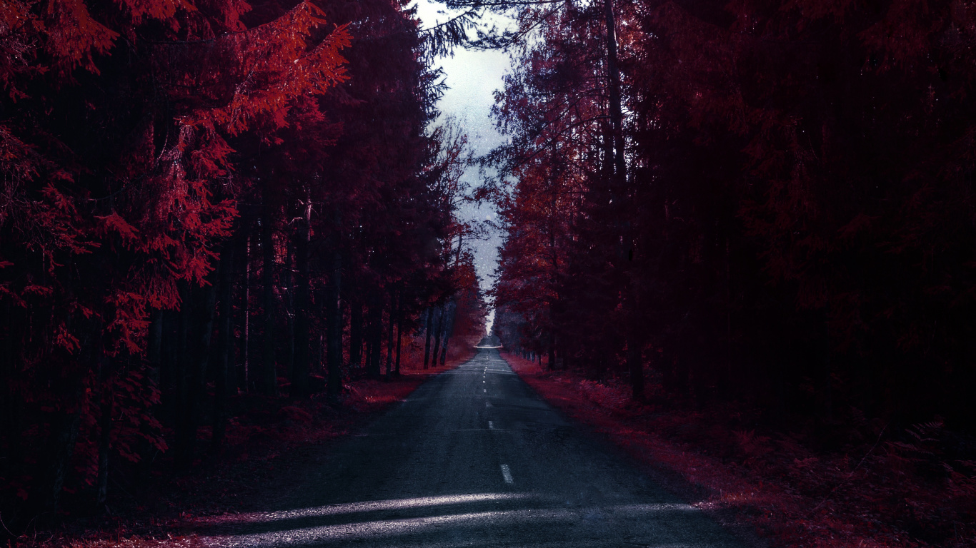 Naturaleza, Wisgoon - Red Social, Iluminación Automotriz, la Superficie de la Carretera, Paisaje Natural. Wallpaper in 1366x768 Resolution