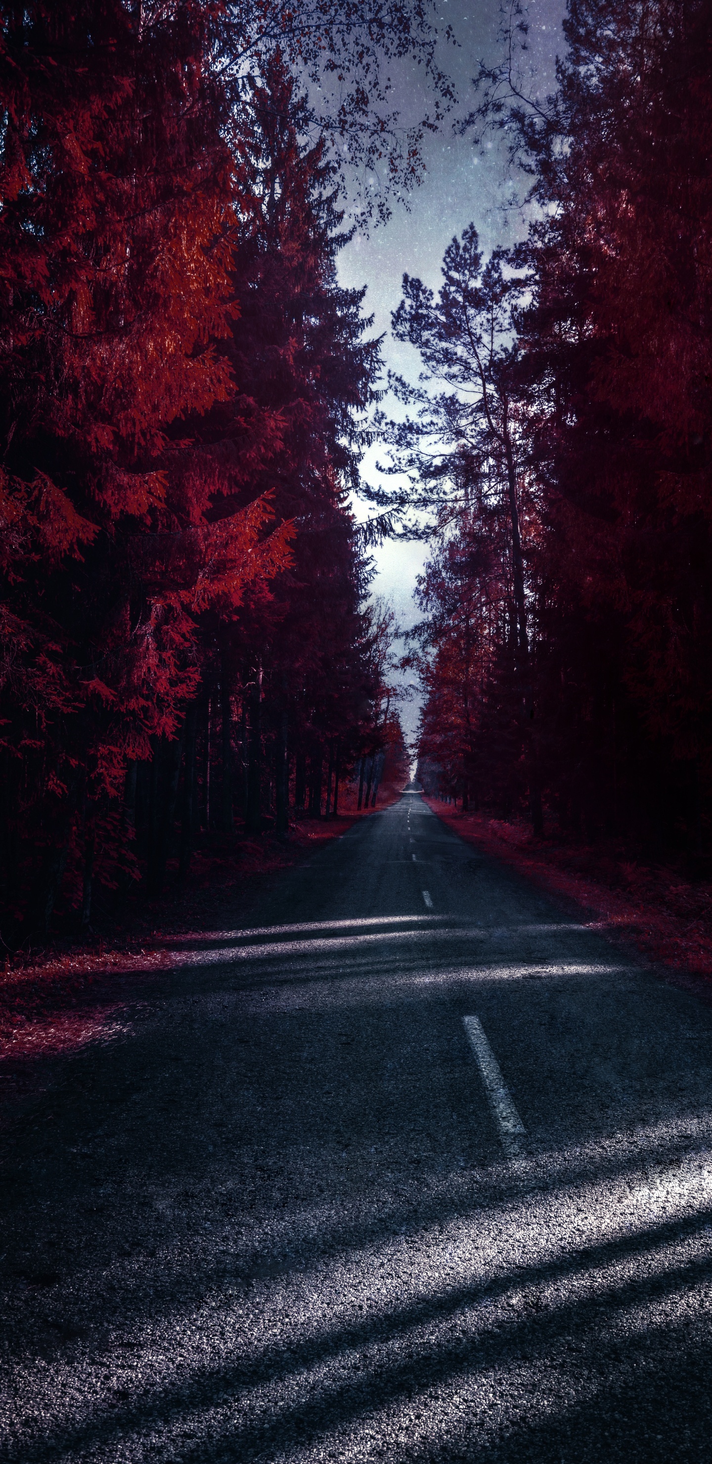 Naturaleza, Wisgoon - Red Social, Iluminación Automotriz, la Superficie de la Carretera, Paisaje Natural. Wallpaper in 1440x2960 Resolution