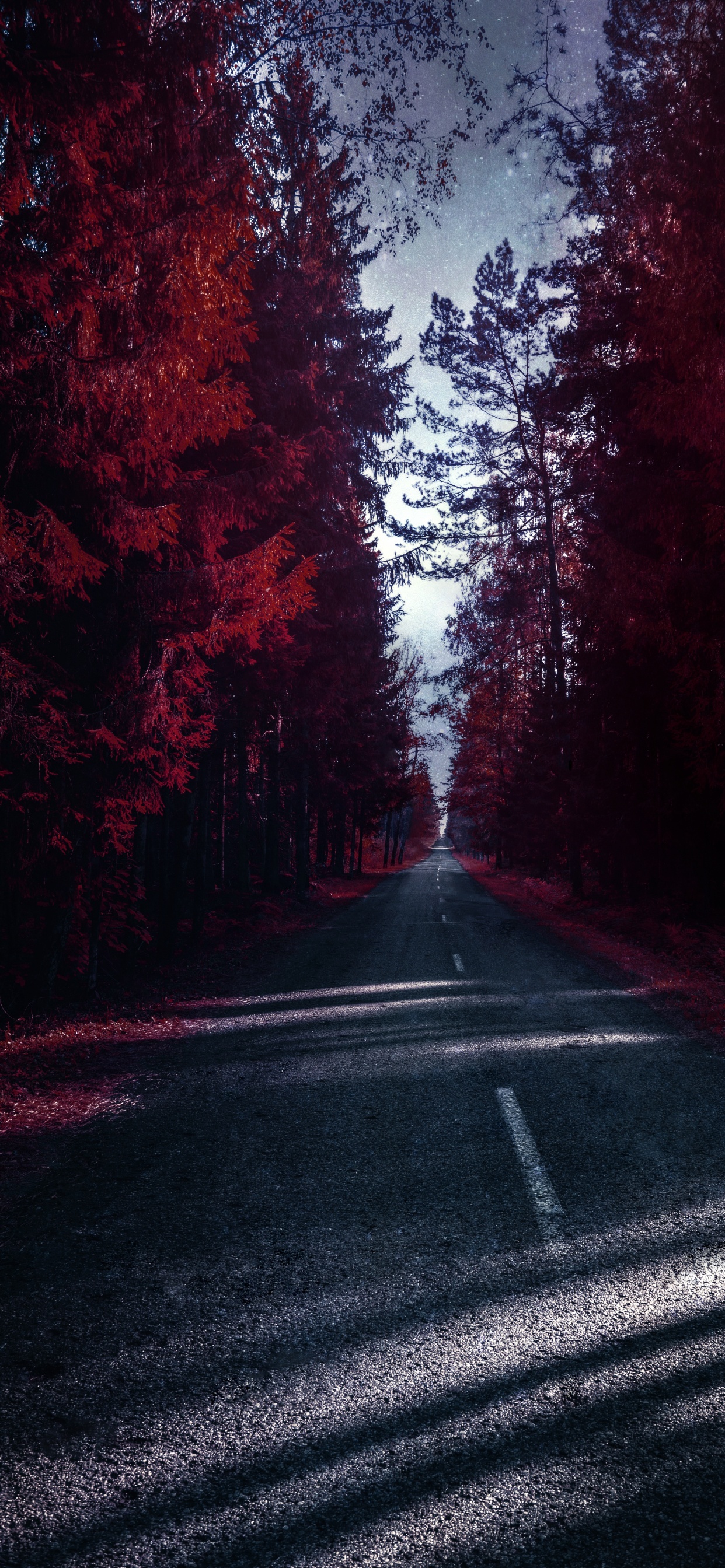 Nature, Wisgoon - Réseau Social, L'éclairage Automobile, Surface de la Route, Paysage Naturel. Wallpaper in 1242x2688 Resolution