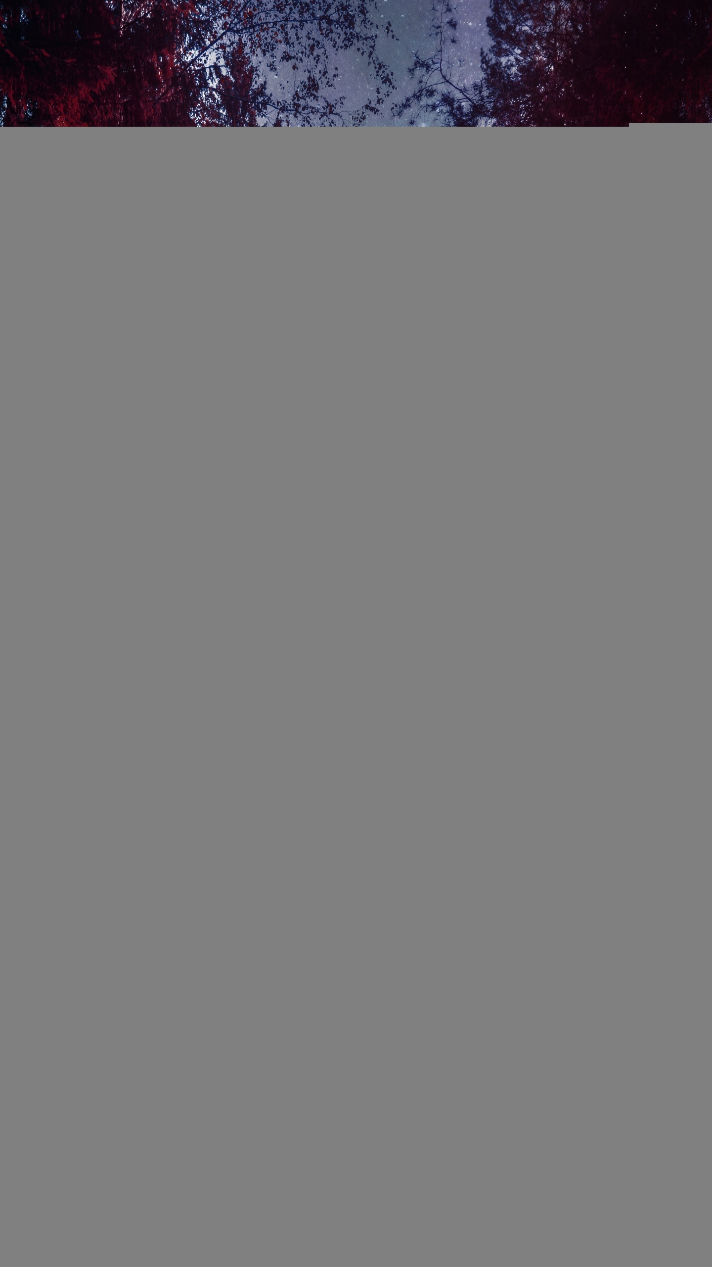 Nature, Wisgoon - Réseau Social, L'éclairage Automobile, Surface de la Route, Paysage Naturel. Wallpaper in 1440x2560 Resolution