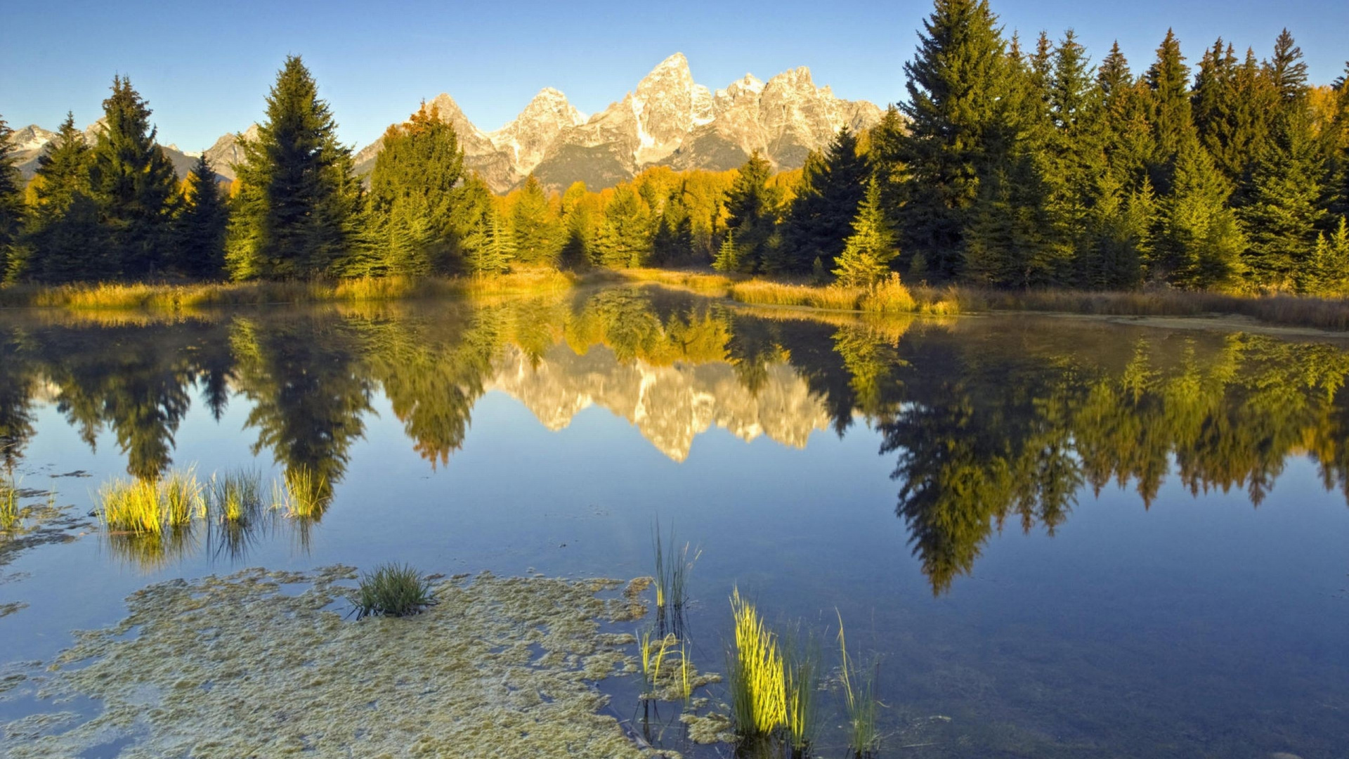 Green Trees Near Lake and Mountain Under Blue Sky During Daytime. Wallpaper in 1920x1080 Resolution