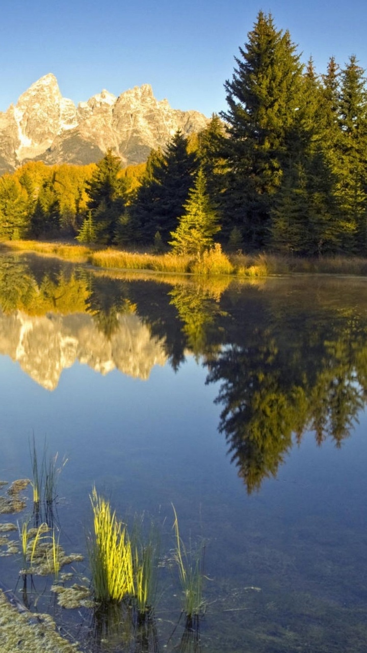 Grüne Bäume in Der Nähe Von See Und Berg Unter Blauem Himmel Tagsüber. Wallpaper in 720x1280 Resolution
