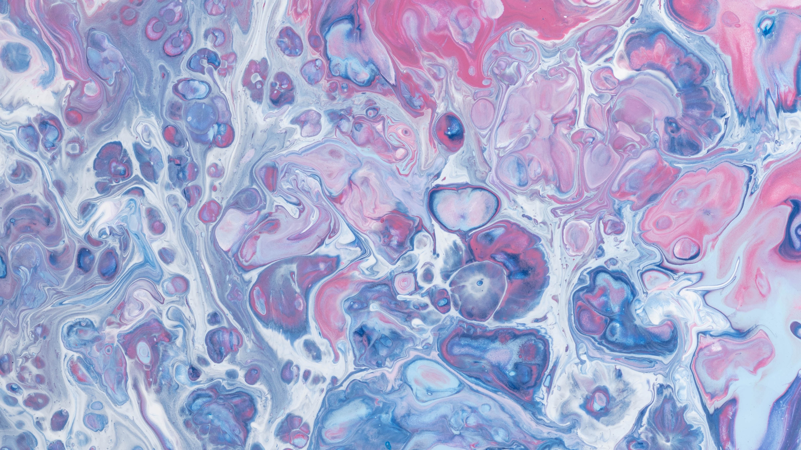 Braune Grüne Und Schwarze Abstrakte Malerei. Wallpaper in 2560x1440 Resolution