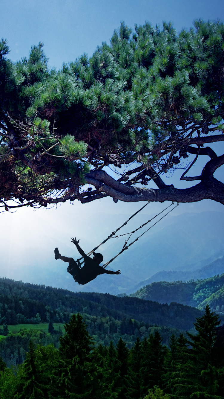 Baum, Natur, Vegetation, Woody Pflanze, Wildnis. Wallpaper in 750x1334 Resolution