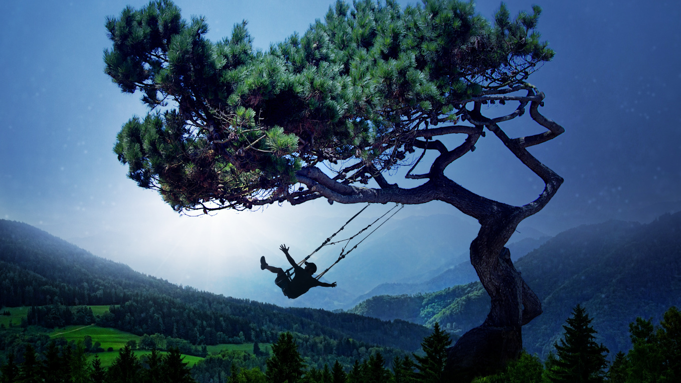 Tree, Nature, Vegetation, Woody Plant, Plant. Wallpaper in 1366x768 Resolution