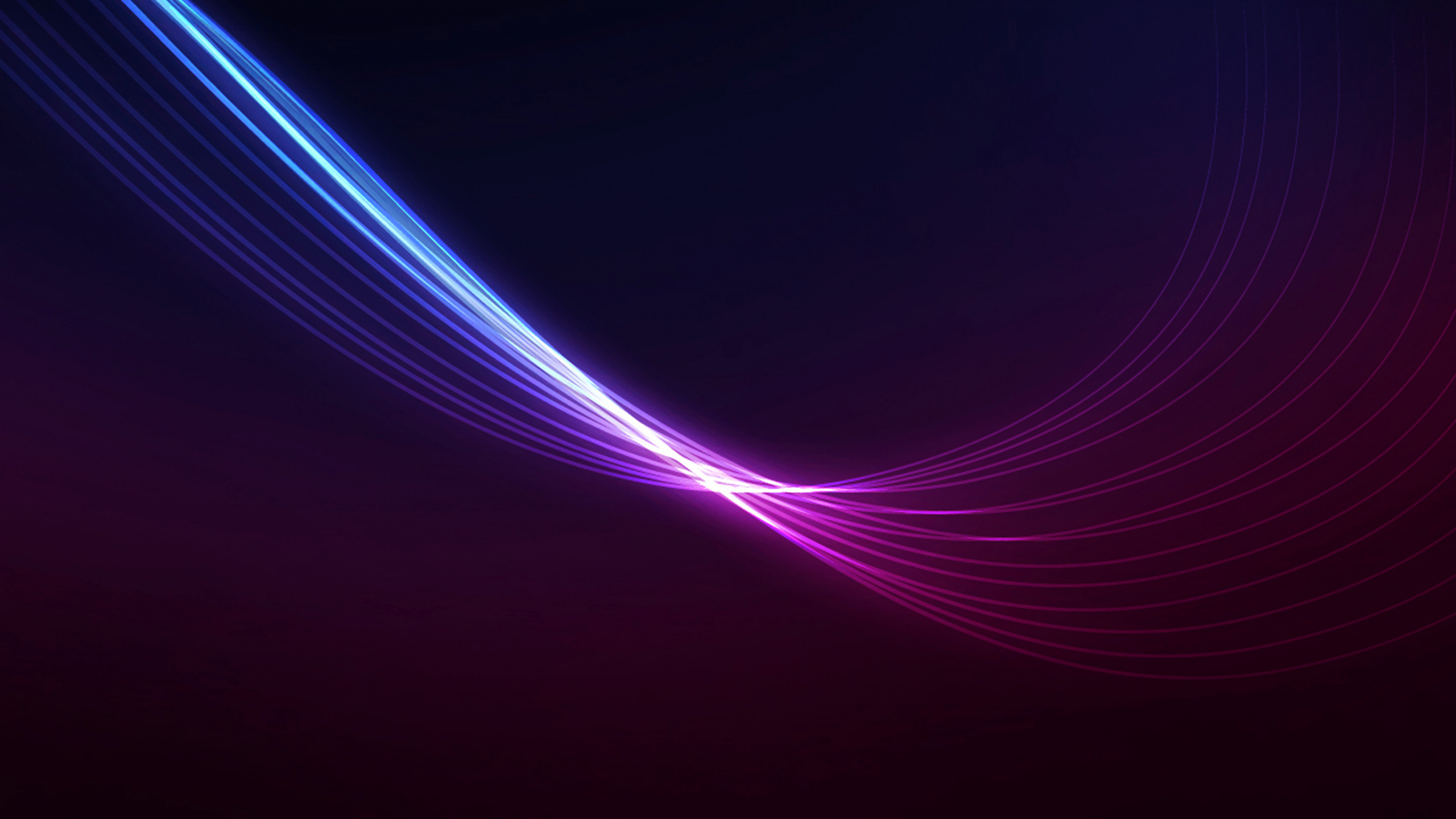 紫罗兰色, 紫色的, 光, 电蓝色的, 天空 壁纸 2560x1440 允许