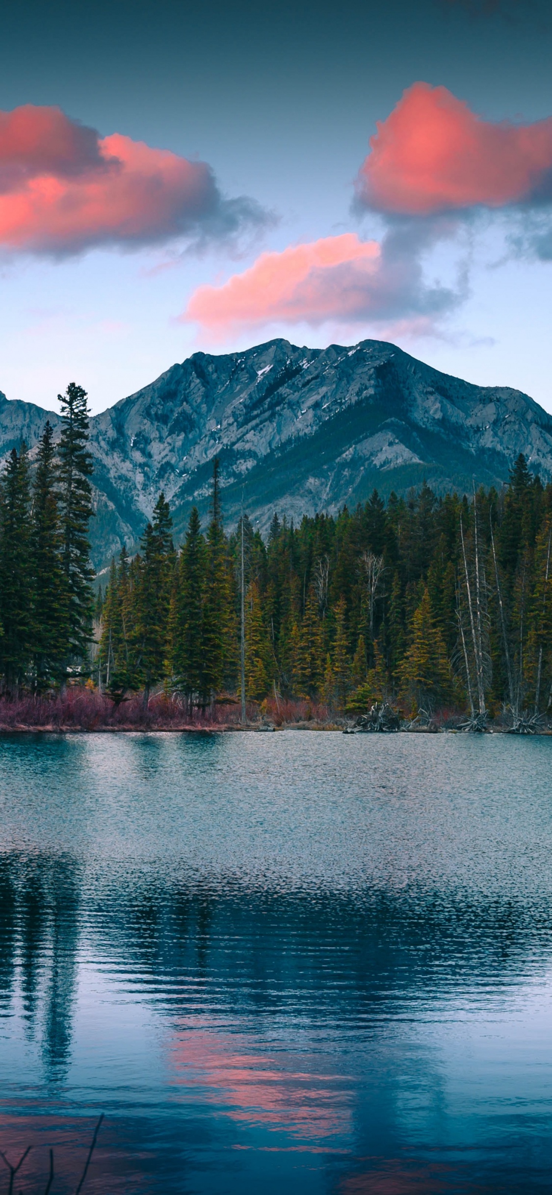 Mountainous Landforms, Landscape Painting, Wilderness, Sky, Mountain. Wallpaper in 1125x2436 Resolution