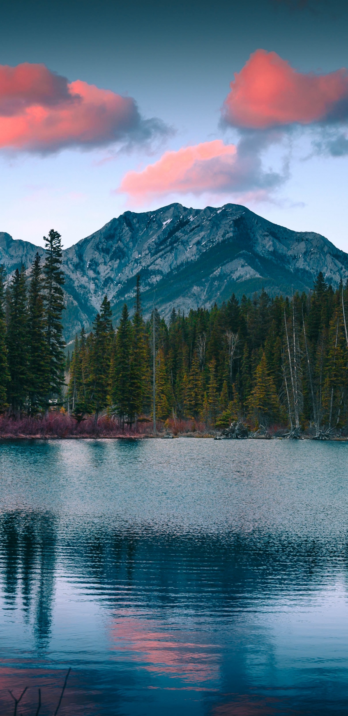 Mountainous Landforms, Landscape Painting, Wilderness, Sky, Mountain. Wallpaper in 1440x2960 Resolution