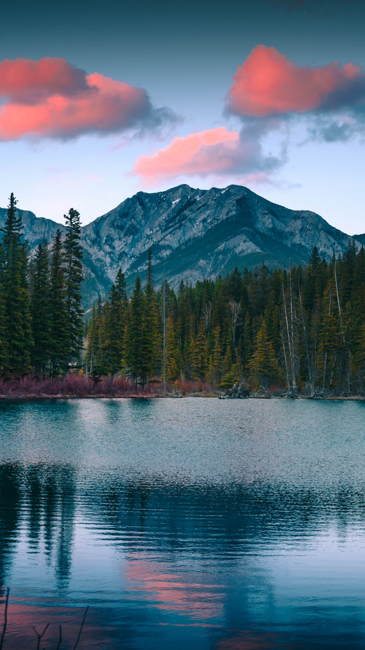 Mountainous Landforms, Landscape Painting, Wilderness, Sky, Mountain. Wallpaper in 750x1334 Resolution