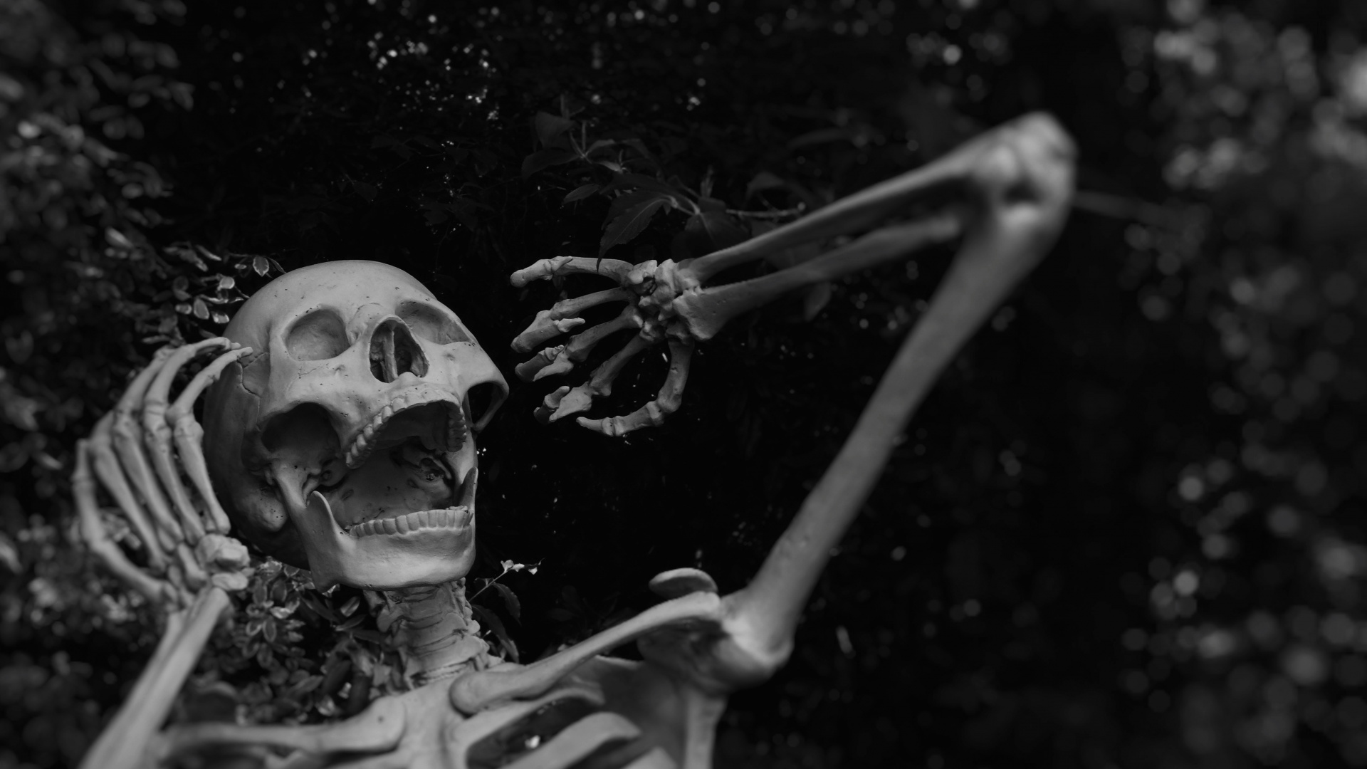 Skeleton, Party, Costume, Automotive Tire, Water. Wallpaper in 1920x1080 Resolution