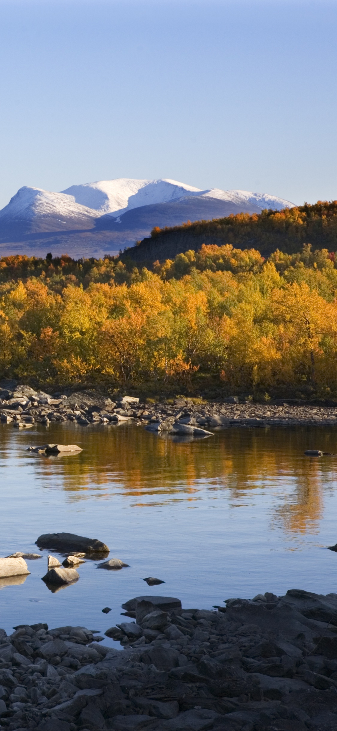 Green and Brown Trees Near Body of Water During Daytime. Wallpaper in 1125x2436 Resolution