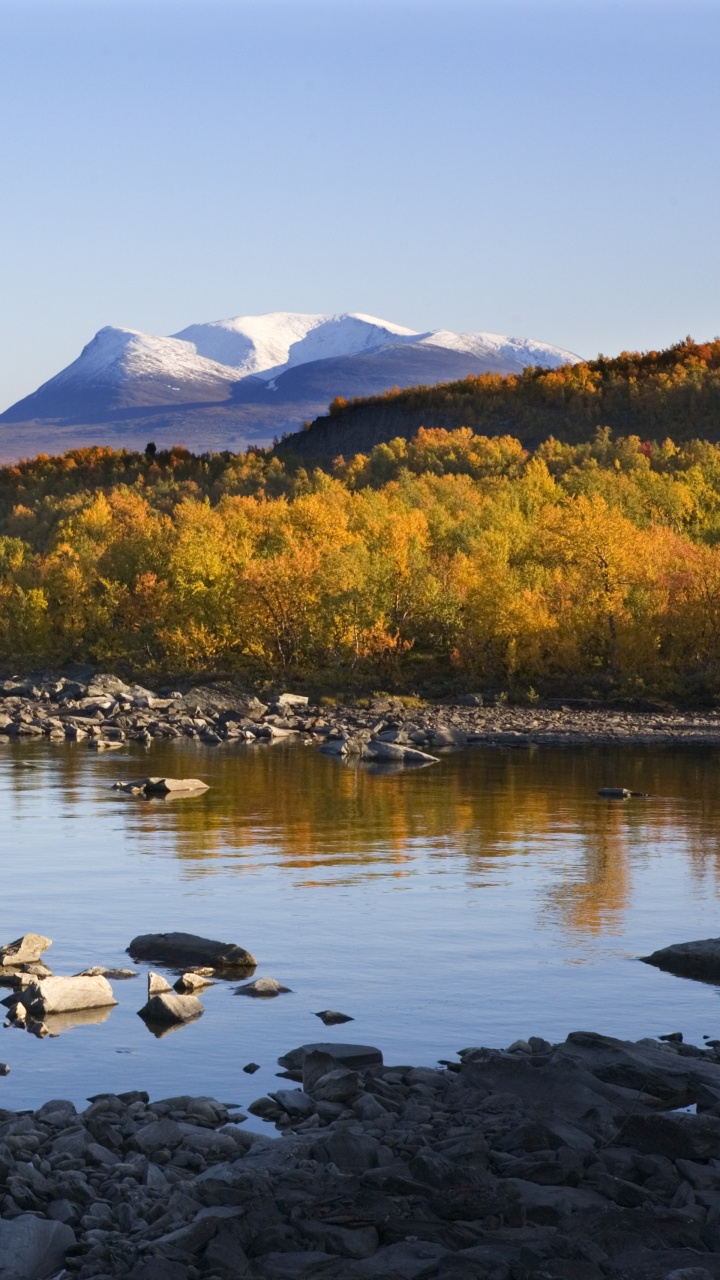 Green and Brown Trees Near Body of Water During Daytime. Wallpaper in 720x1280 Resolution