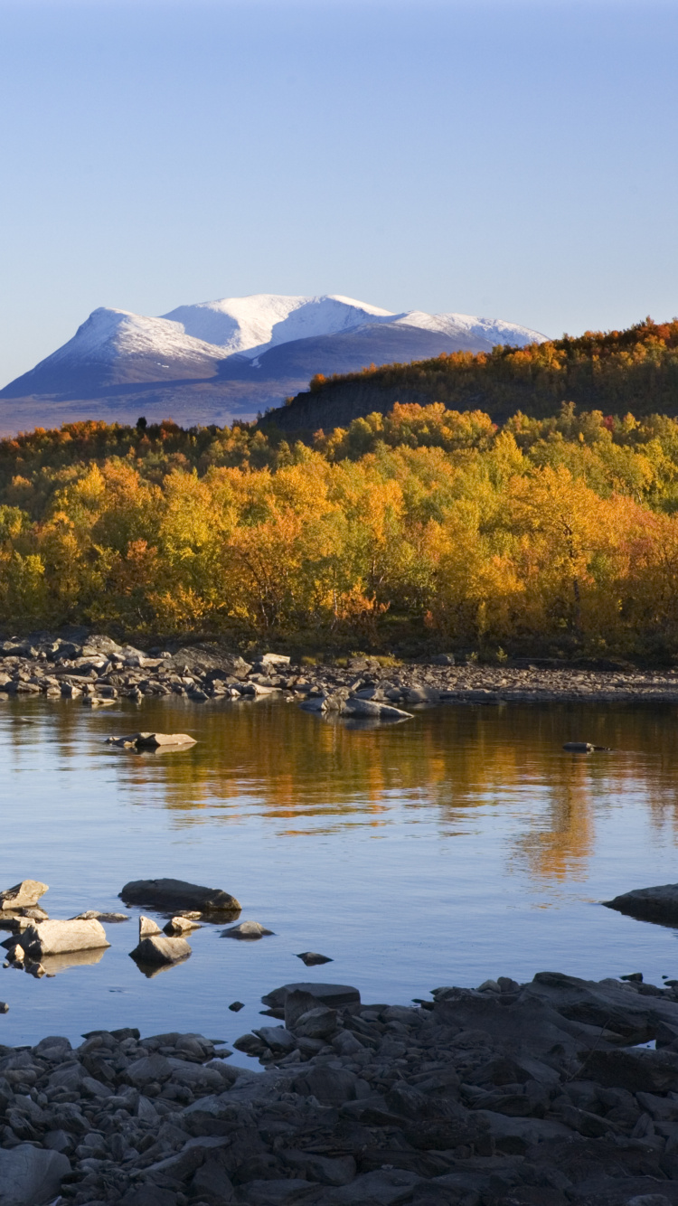 Green and Brown Trees Near Body of Water During Daytime. Wallpaper in 750x1334 Resolution