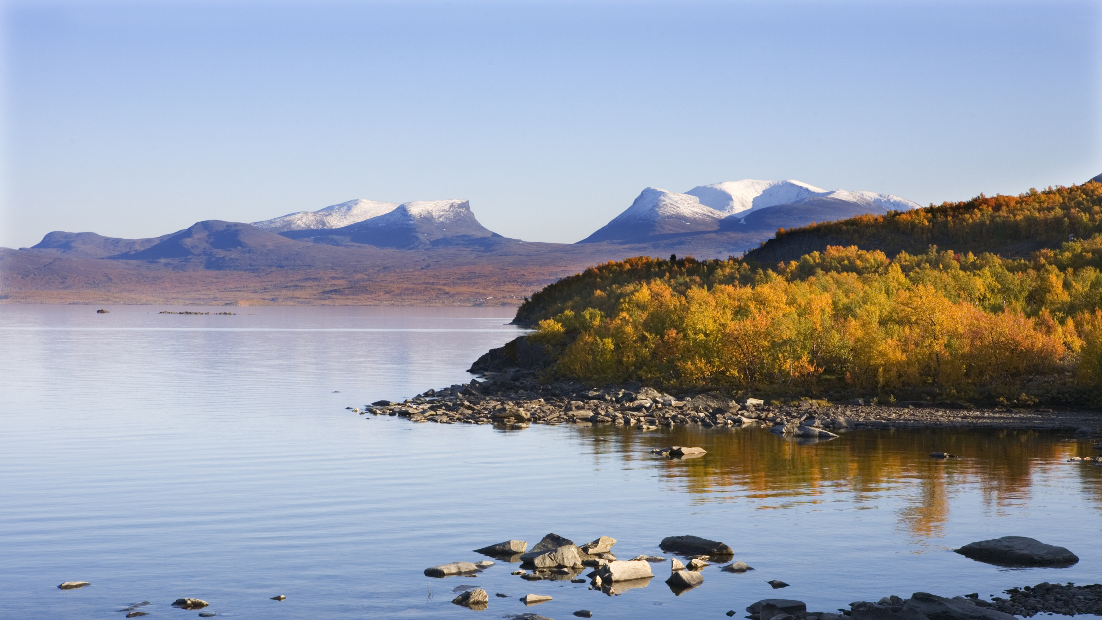 Arbres Verts et Bruns Près du Plan D'eau Pendant la Journée. Wallpaper in 3840x2160 Resolution