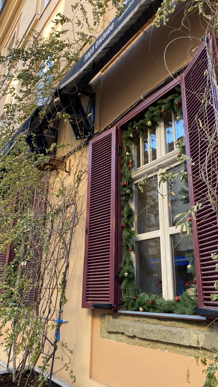 House, Real Estate, Majorelle Blue, Building, Twig. Wallpaper in 720x1280 Resolution