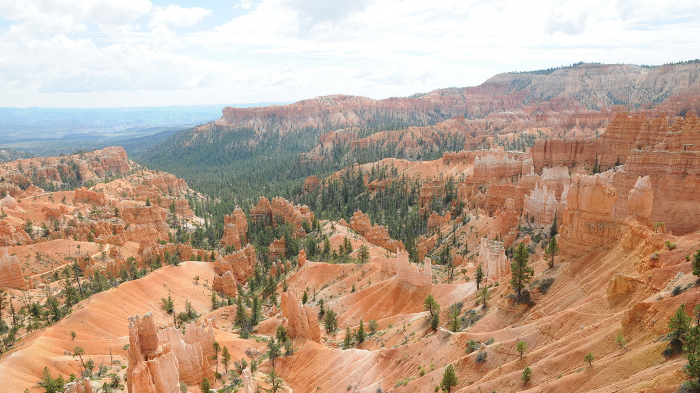 Brown and Green Trees on Brown Mountain During Daytime. Wallpaper in 1366x768 Resolution