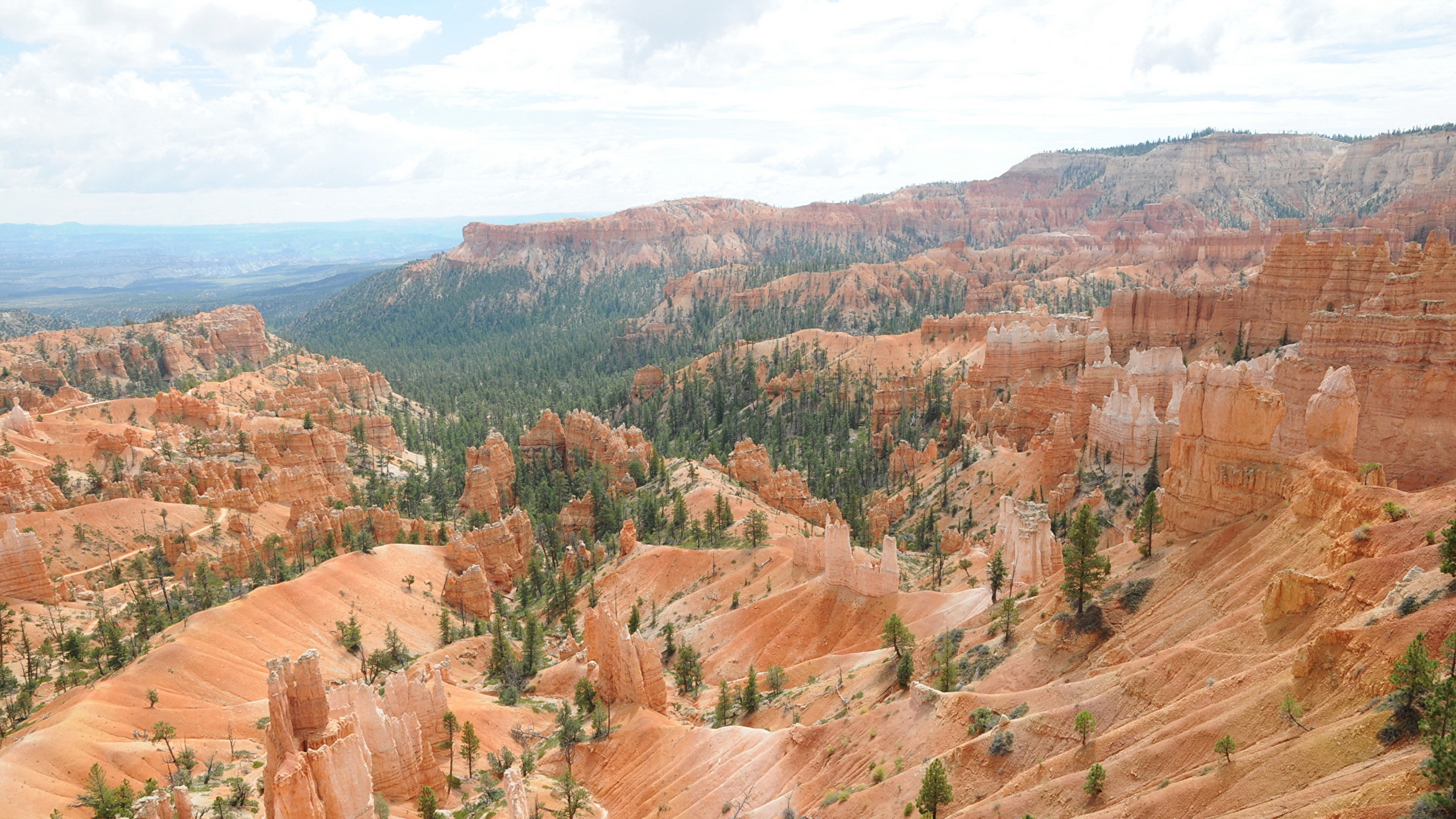 Brown and Green Trees on Brown Mountain During Daytime. Wallpaper in 2560x1440 Resolution