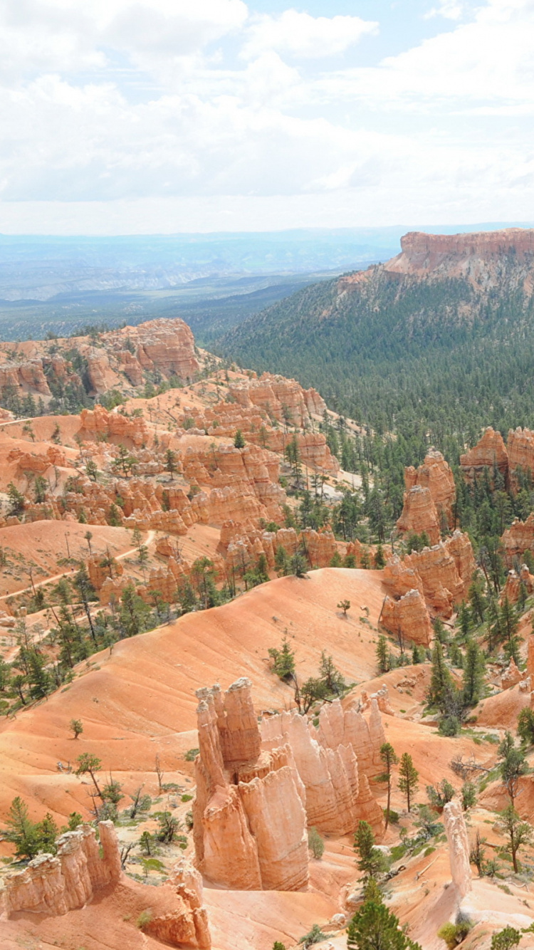 Brown and Green Trees on Brown Mountain During Daytime. Wallpaper in 750x1334 Resolution