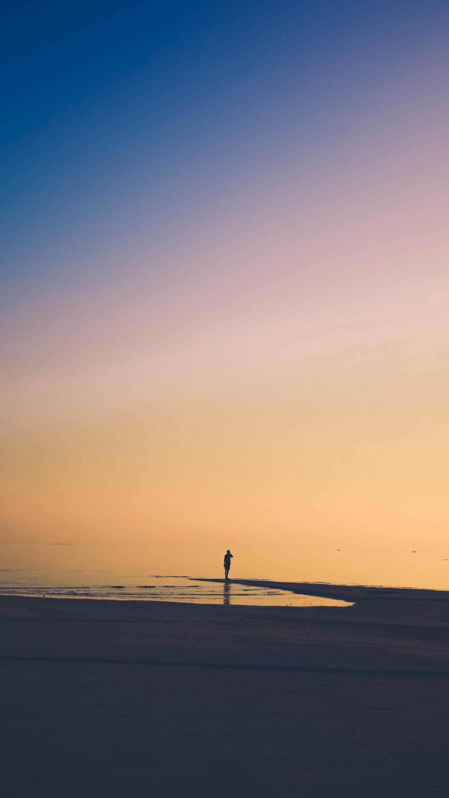 气氛, 余辉, 自然景观, 阳光, 日落 壁纸 1440x2560 允许