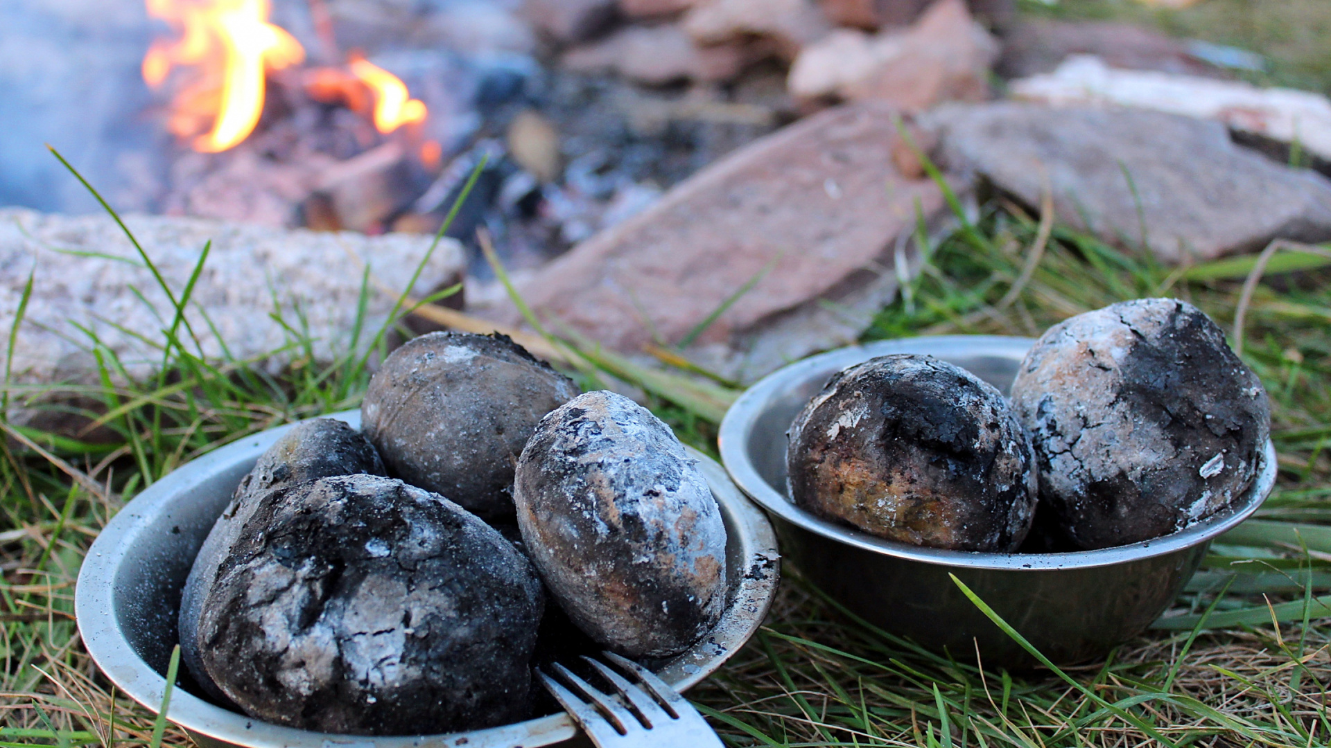 Blue Berries on Stainless Steel Bowl. Wallpaper in 1920x1080 Resolution