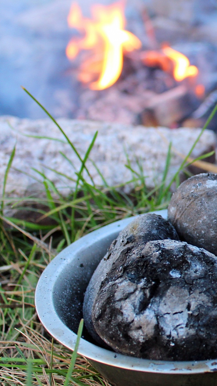 Blue Berries on Stainless Steel Bowl. Wallpaper in 720x1280 Resolution