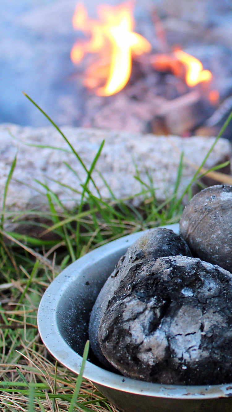 Bayas Azules en Recipiente de Acero Inoxidable. Wallpaper in 750x1334 Resolution