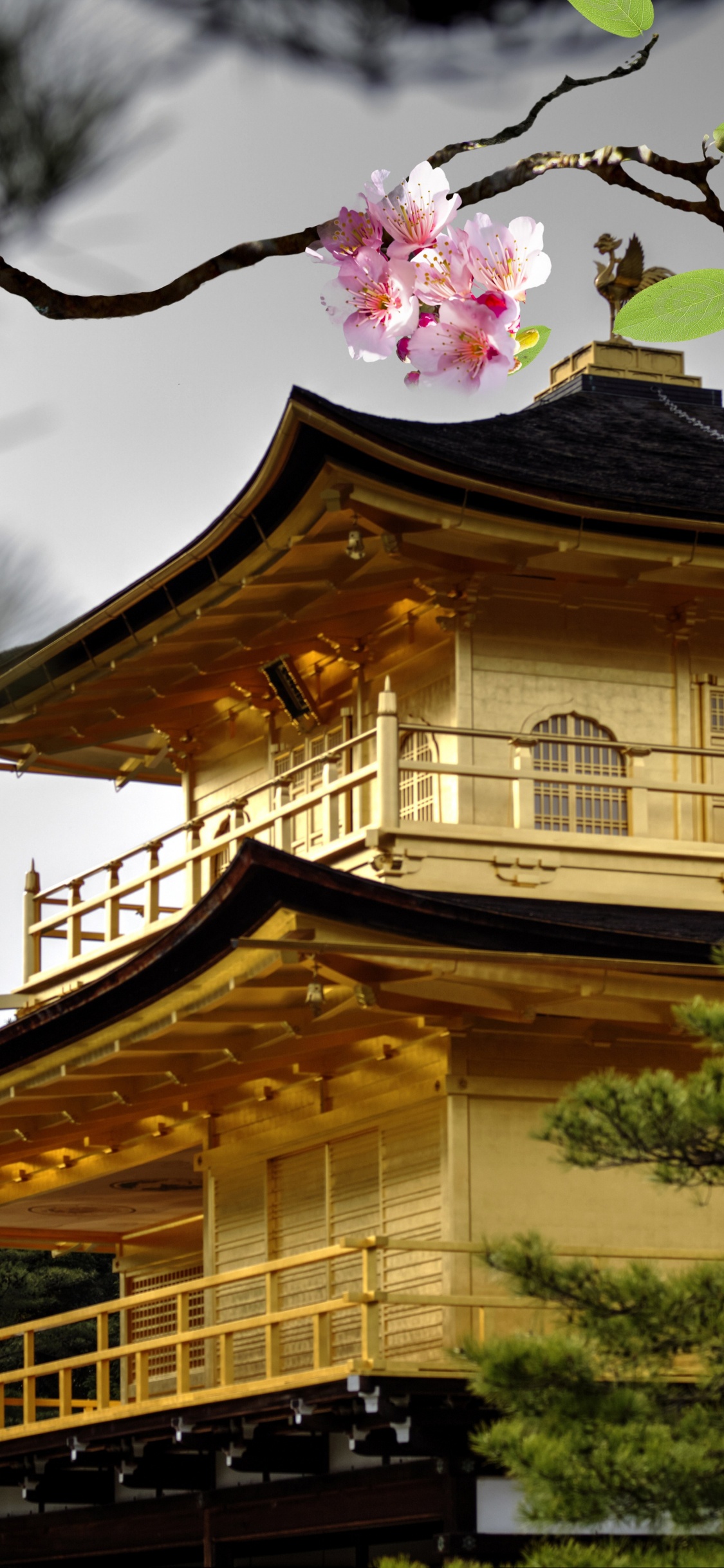 Casa de Hormigón Marrón y Blanco Bajo un Cielo Blanco Durante el Día. Wallpaper in 1125x2436 Resolution