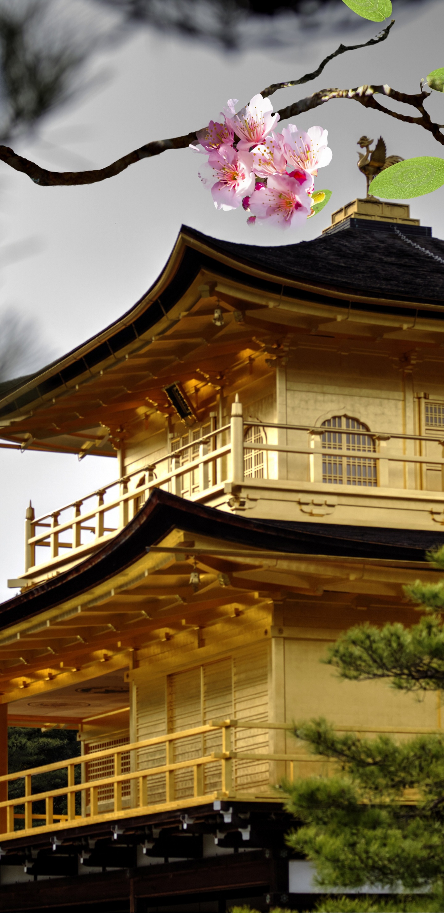 日本建筑, 寺庙, 神殿, 中国建筑, 工厂 壁纸 1440x2960 允许