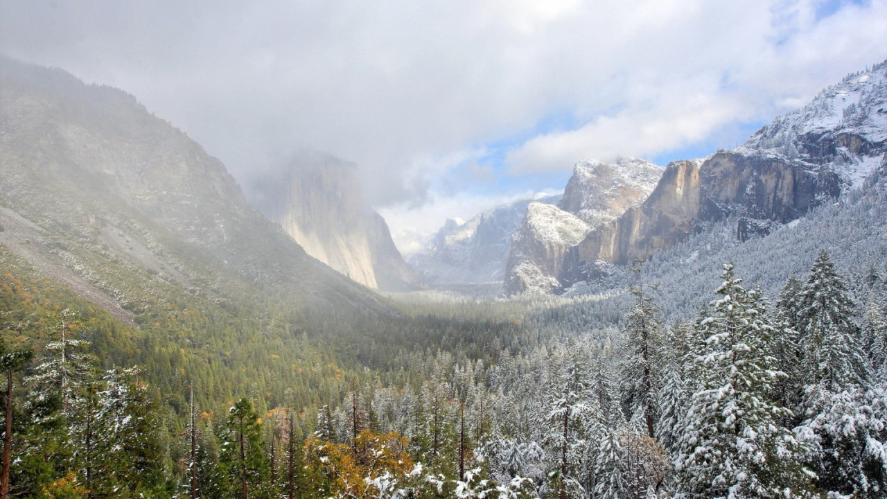 Green Pine Trees Near Mountain During Daytime. Wallpaper in 1280x720 Resolution