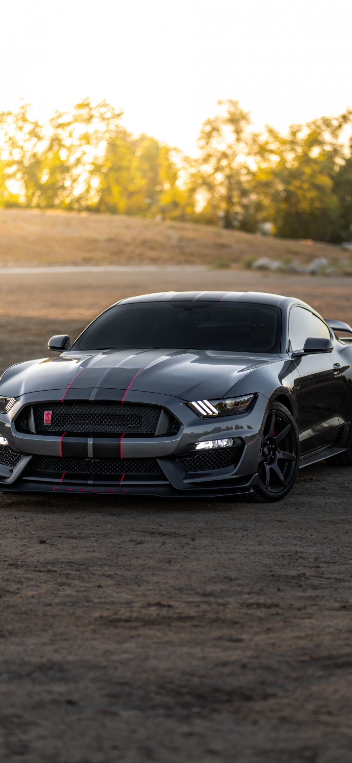 Ford Mustang Shelby Gt500, Ford, Shelby Mustang, Car, Ford Motor Company. Wallpaper in 1125x2436 Resolution