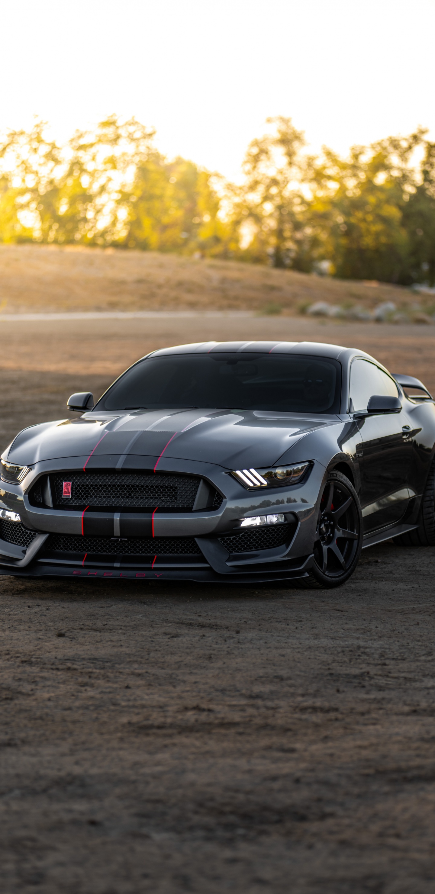 Ford Mustang Shelby Gt500, Ford, Shelby Mustang, Coche, Ford Motor Company. Wallpaper in 1440x2960 Resolution