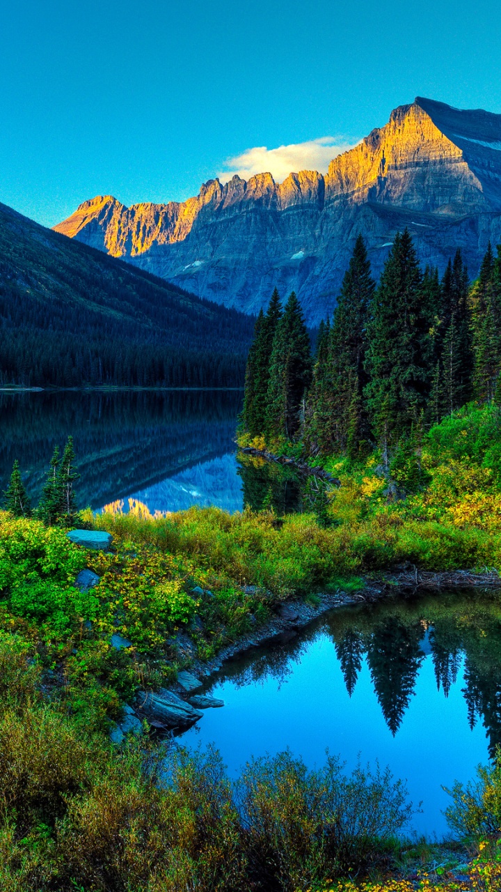 Arbres Verts Près du Lac et de la Montagne Pendant la Journée. Wallpaper in 720x1280 Resolution