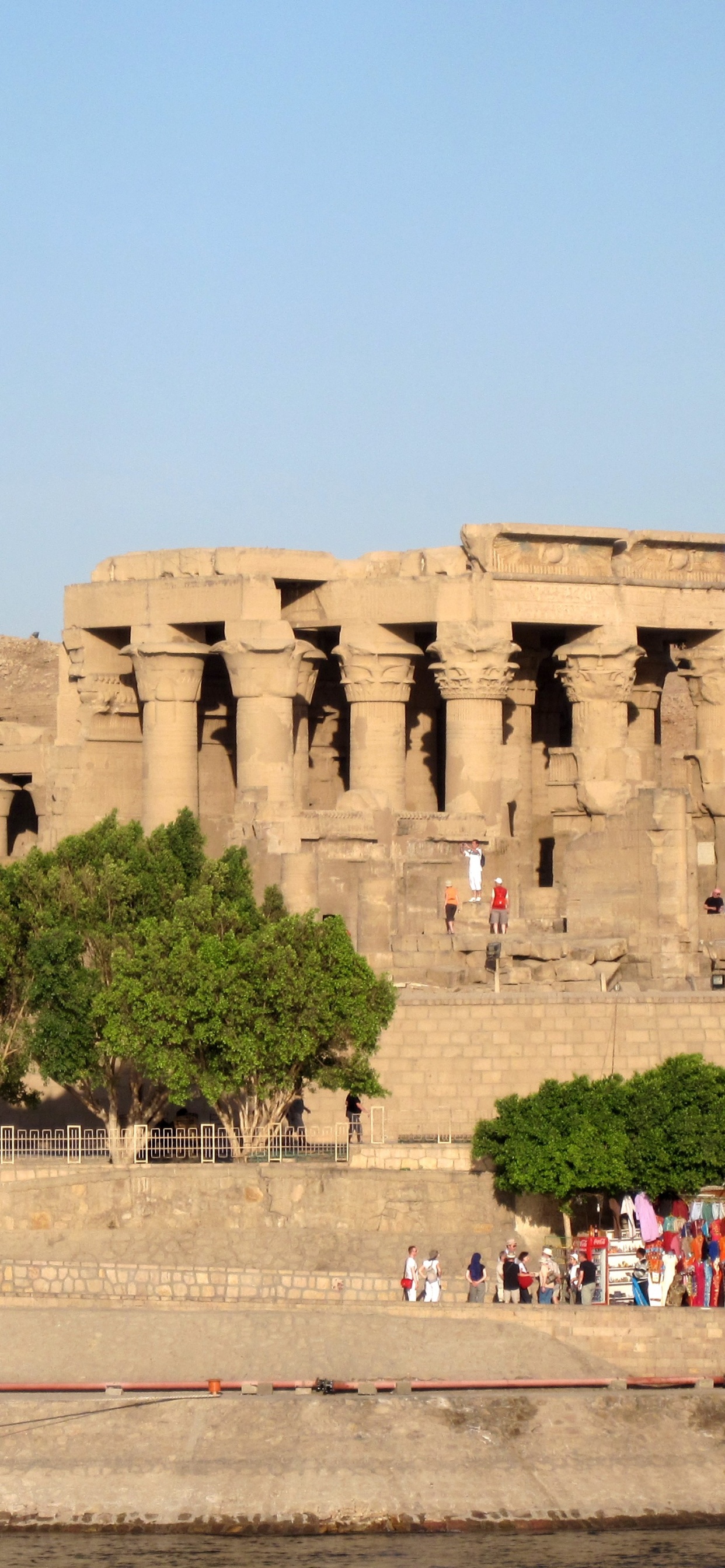 Personnes Marchant Sur le Parc Pendant la Journée. Wallpaper in 1242x2688 Resolution