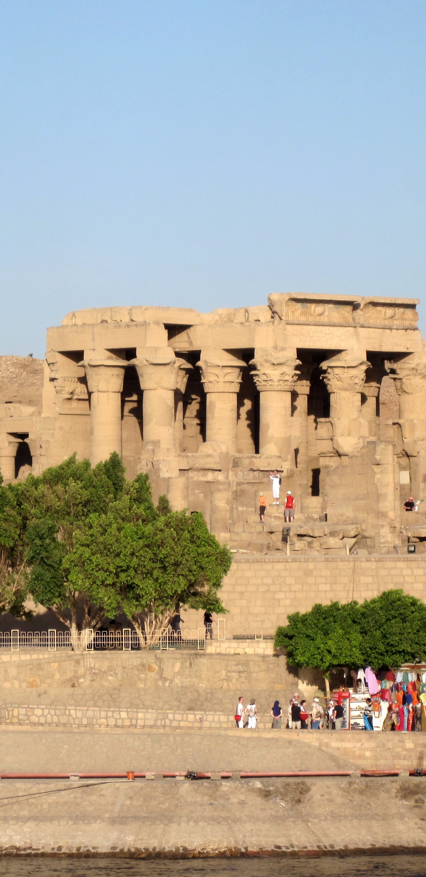 Leute, Die Tagsüber im Park Spazieren Gehen. Wallpaper in 1440x2960 Resolution