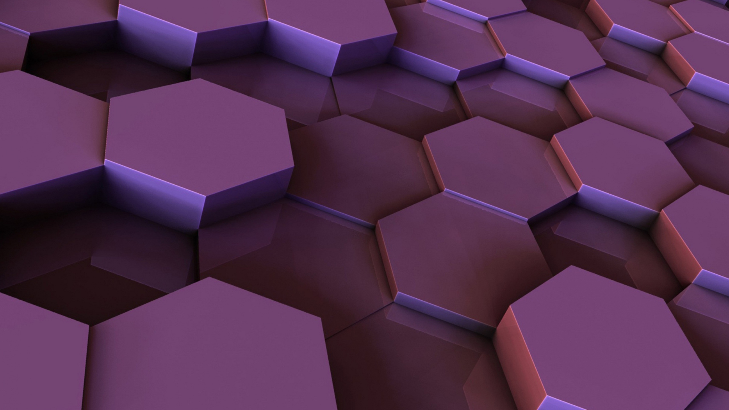 Hexágono, Morena, Morado, Rectángulo, Violeta. Wallpaper in 2560x1440 Resolution