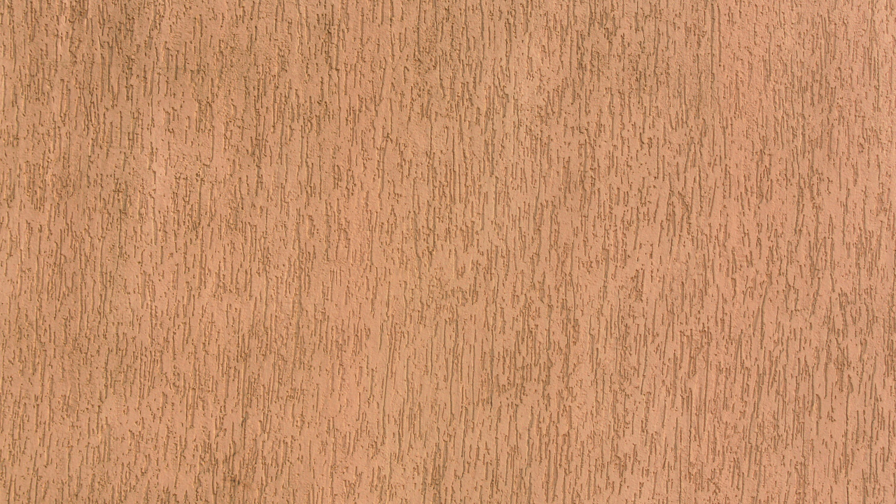 Person Wearing Black Shoes Standing on Brown Carpet. Wallpaper in 1280x720 Resolution