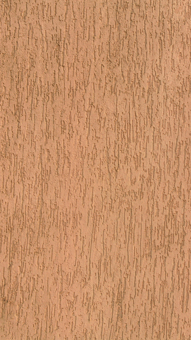 Person Wearing Black Shoes Standing on Brown Carpet. Wallpaper in 750x1334 Resolution