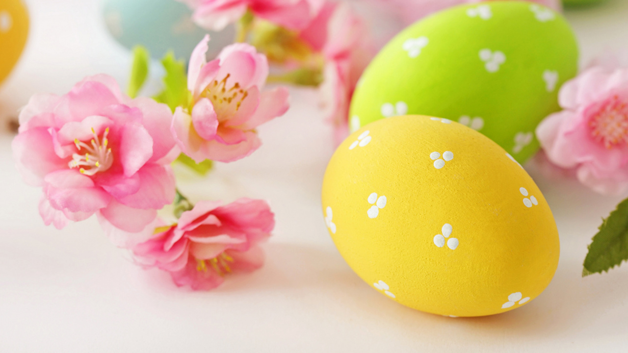 Easter Egg, Artificial Flower, Flower, Petal, Easter. Wallpaper in 1280x720 Resolution