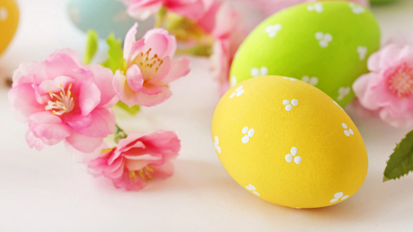 Easter Egg, Artificial Flower, Flower, Petal, Easter. Wallpaper in 1366x768 Resolution