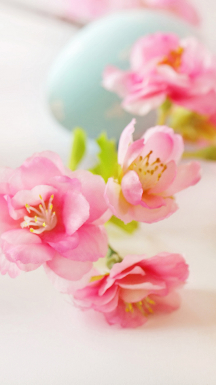 Easter Egg, Artificial Flower, Flower, Petal, Easter. Wallpaper in 750x1334 Resolution