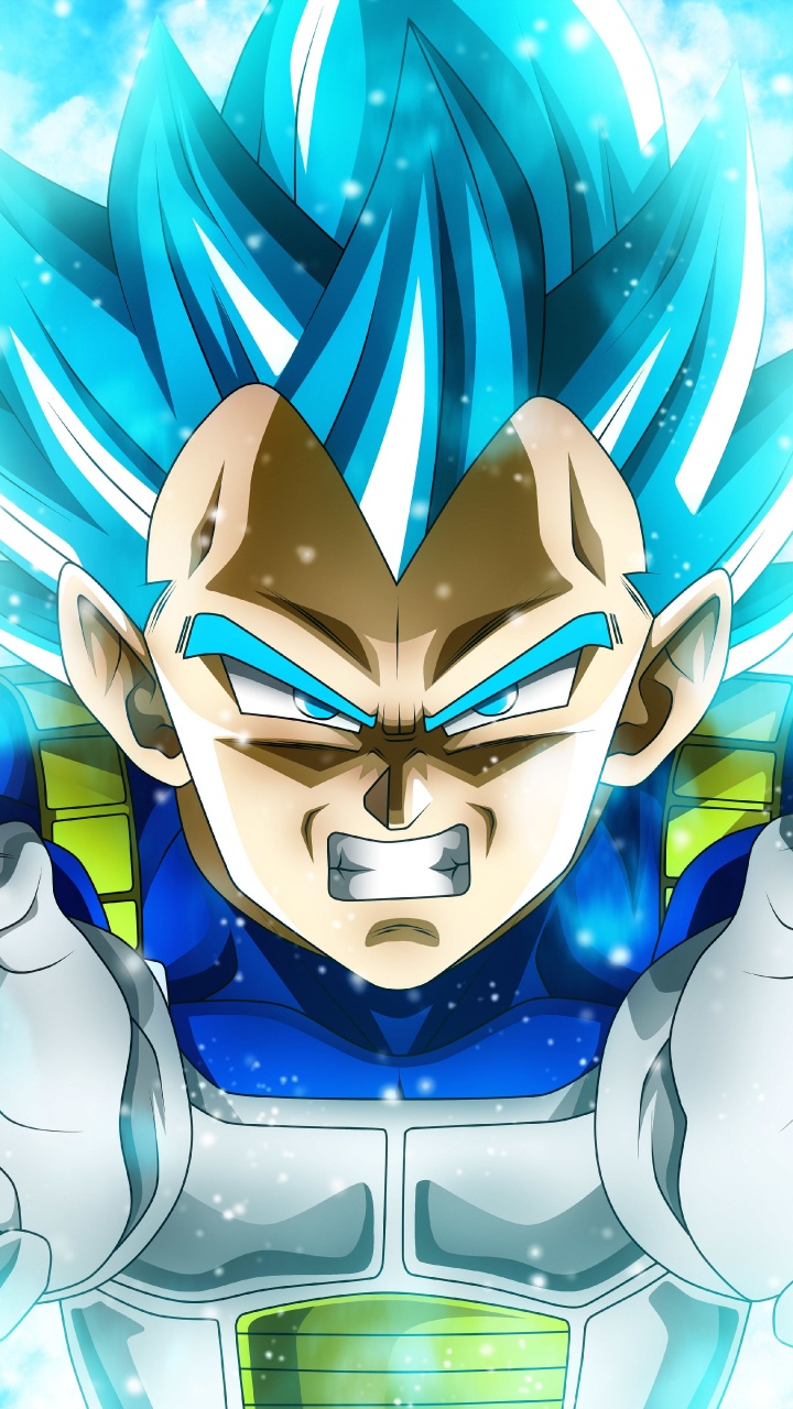 贝吉塔, 悟空, Dragon Ball, 龙, 超级赛亚人 壁纸 720x1280 允许