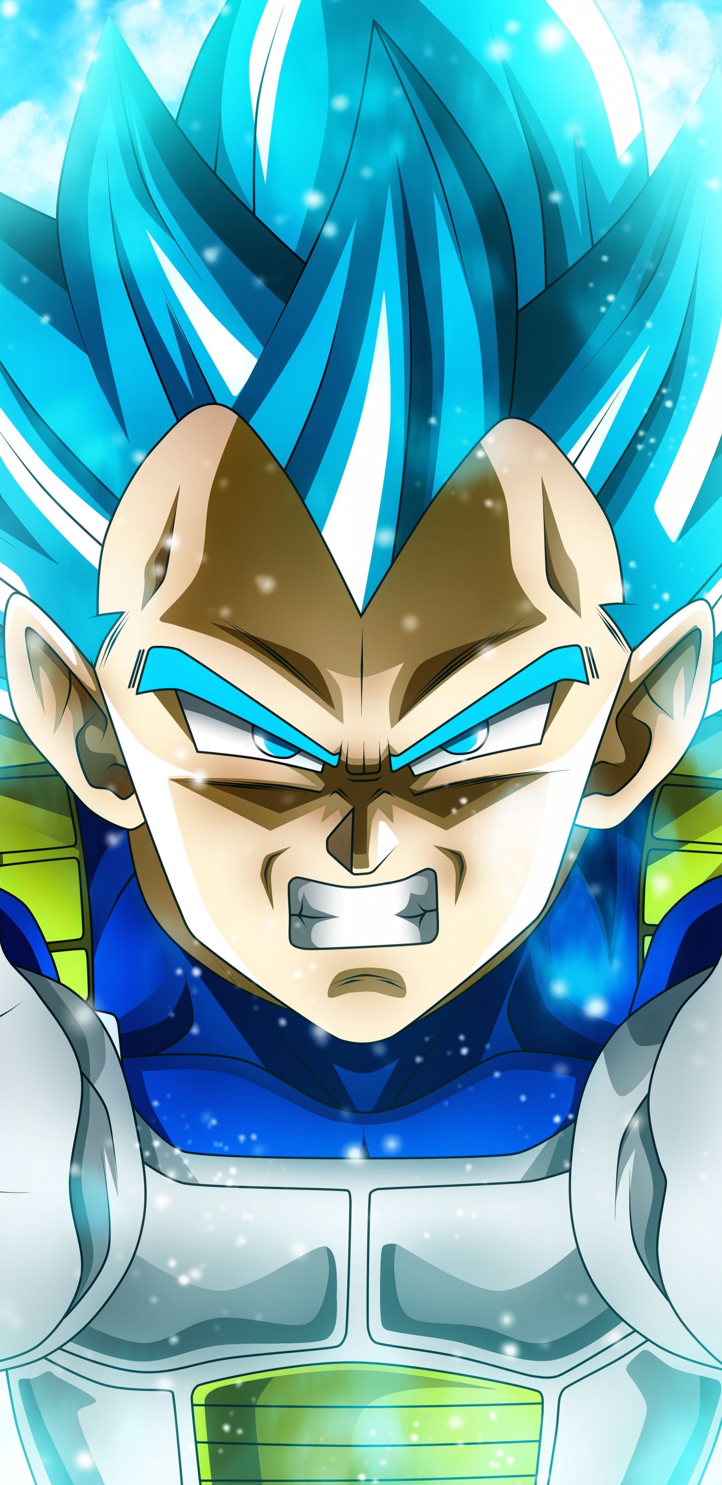 Vegeta Dragonball, Vegeta, Son-goku, Dragonball, Dragon. Wallpaper in 1440x2960 Resolution