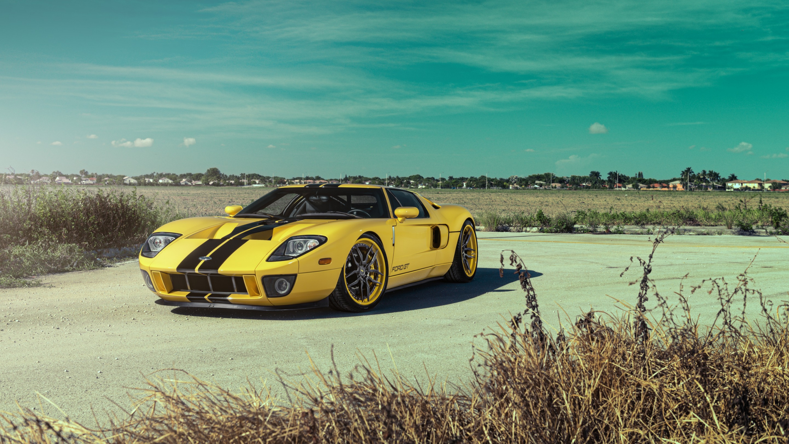 Yellow and Black Porsche 911 on Brown Field Under Blue Sky During Daytime. Wallpaper in 2560x1440 Resolution