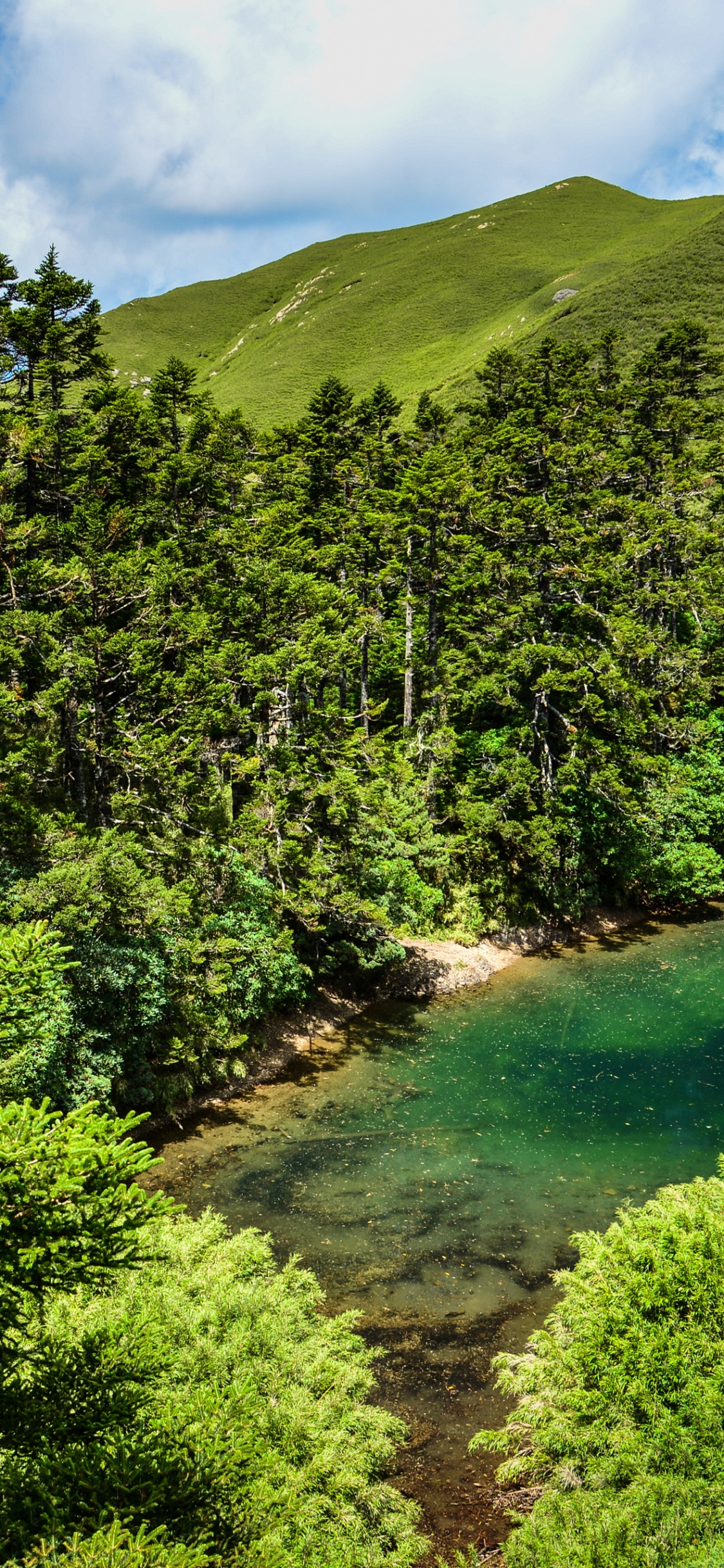 Green Trees on Mountain Under Blue Sky During Daytime. Wallpaper in 1125x2436 Resolution